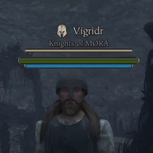 Vigridr