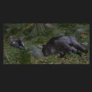 Joen The Spirit Bear