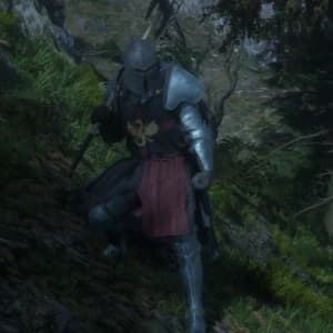 Arminus
